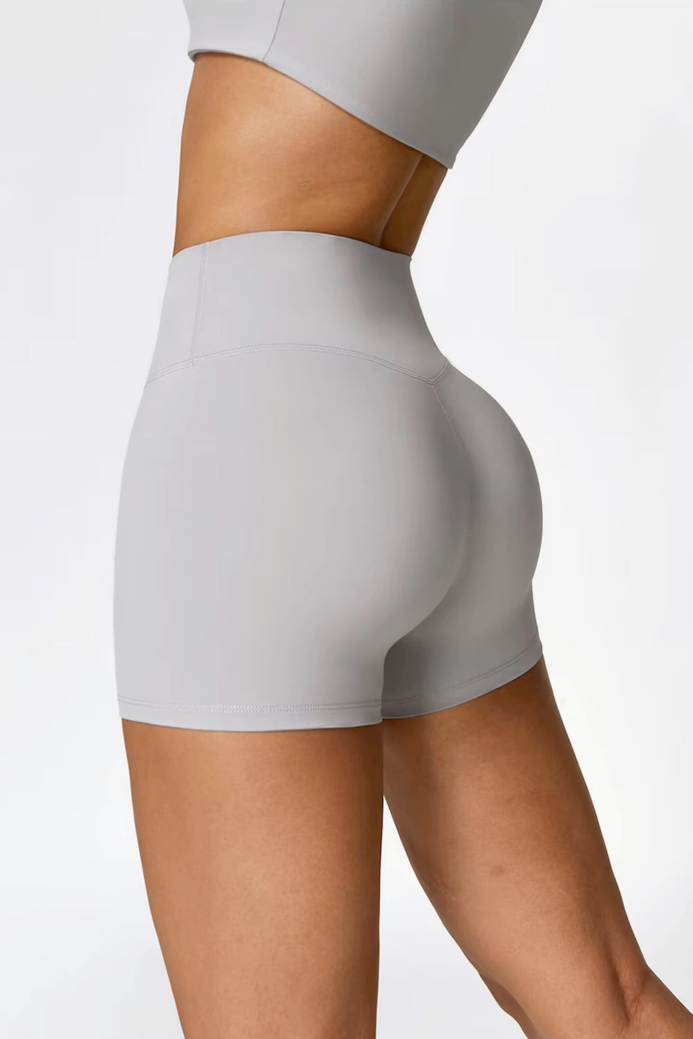 Sculpt Seamless Shorts Frost